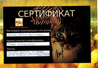 Сертификат специалиста Евгения Владимировна Илясова
