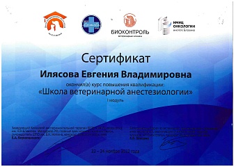 Сертификат специалиста Евгения Владимировна Илясова
